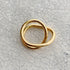 loop ring 3